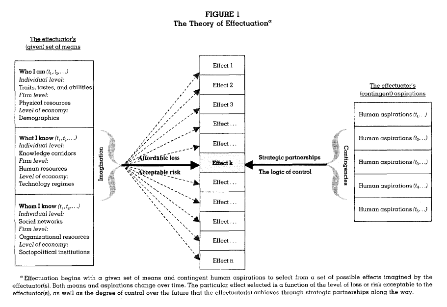 theory_of_effectuation.gif